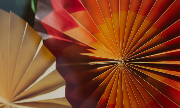 UPC & EPO Oppositions: The New Dual Battleground for European Patents