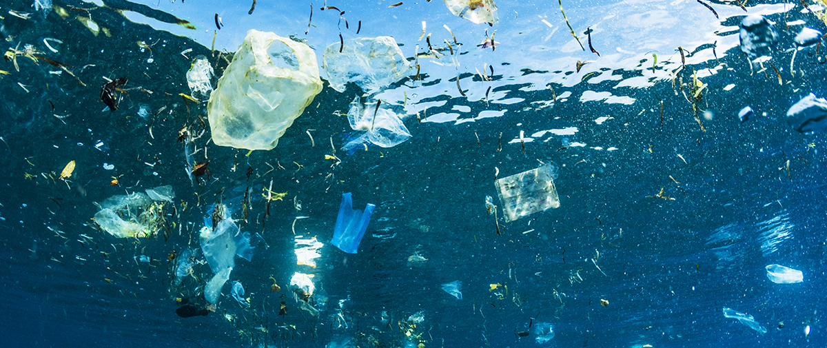 Plastic waste: cost or opportunity?