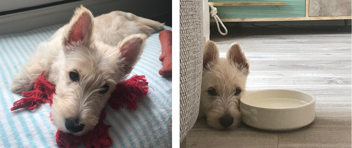 Committing to #StayProductive