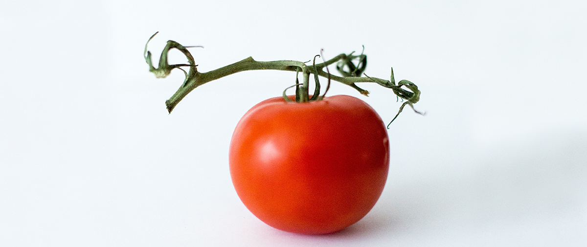 #StayProductive... with Tomatoes!?