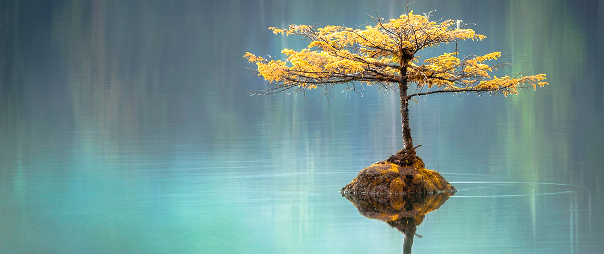 #StayProductive with Stoicism