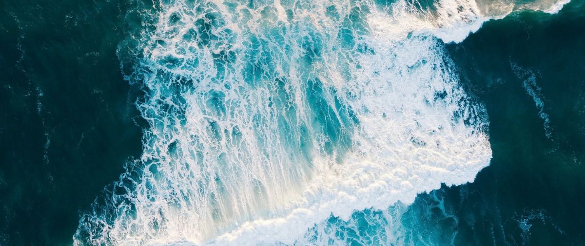 Managing Global IP Risk: Transatlantic Perspectives 