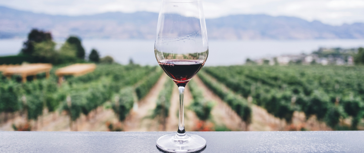 The Origin Edit: Latest developments on PDOs & Wines