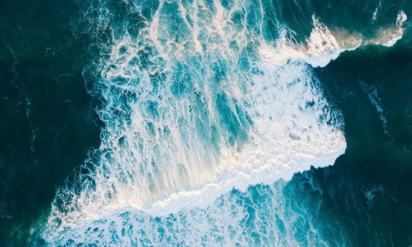 Managing Global IP Risk: Transatlantic Perspectives 