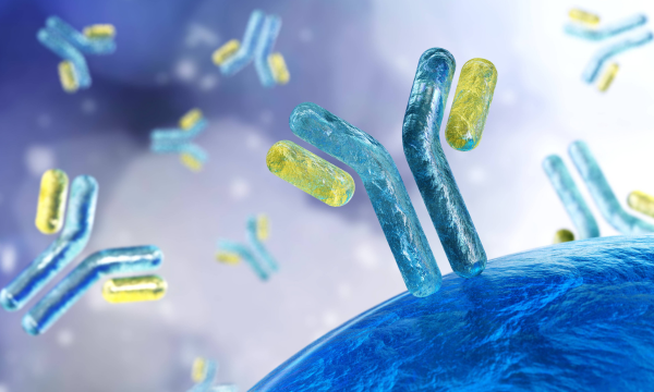 23 May 2024 - Antibody Patents: How to best capture and protect your commercial products