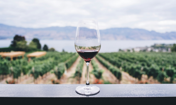 The Origin Edit: Latest developments on PDOs & Wines