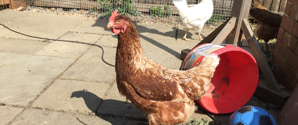 #StayWell - Get the micros in and the macros will follow...