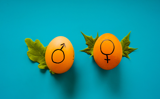 EPO Guidelines go gender neutral