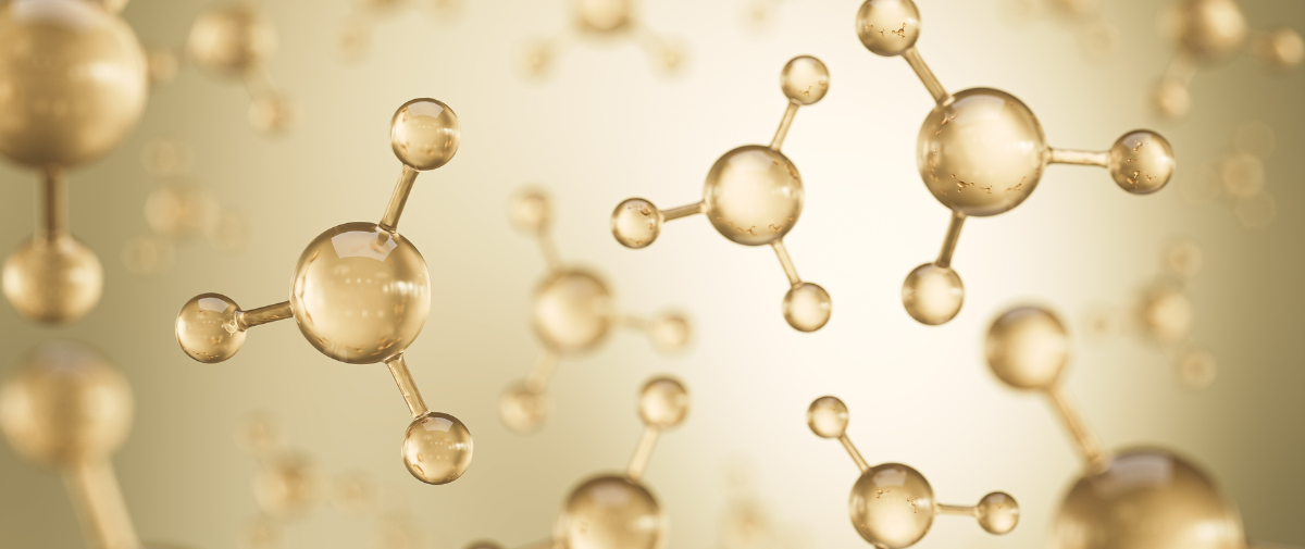 Our Life Sciences & Chemistry group welcomes Susan Hancock