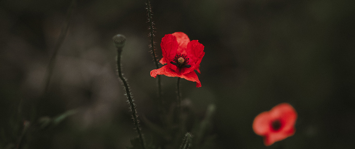 The Meaning of Remembrance