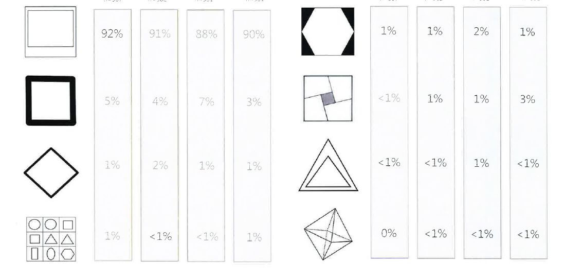 Polaroid-image-4-questionnaire.png