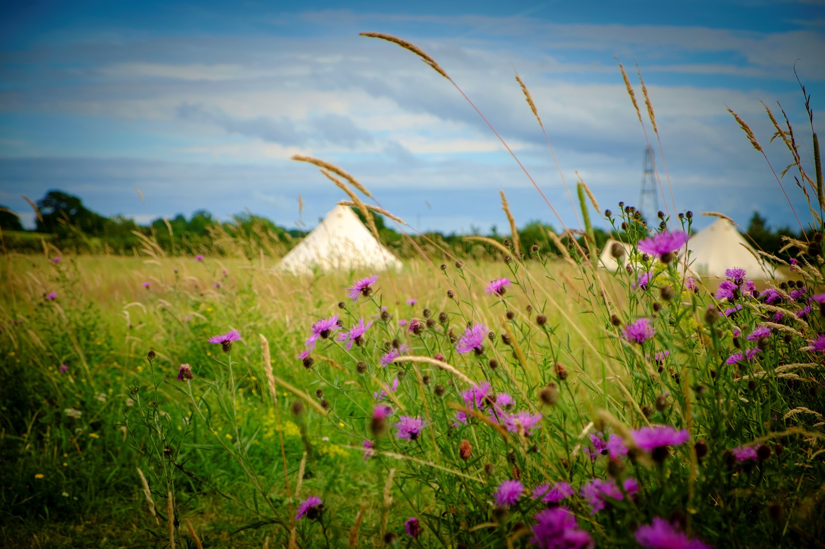 barefoot.jpg barefoot.jpg