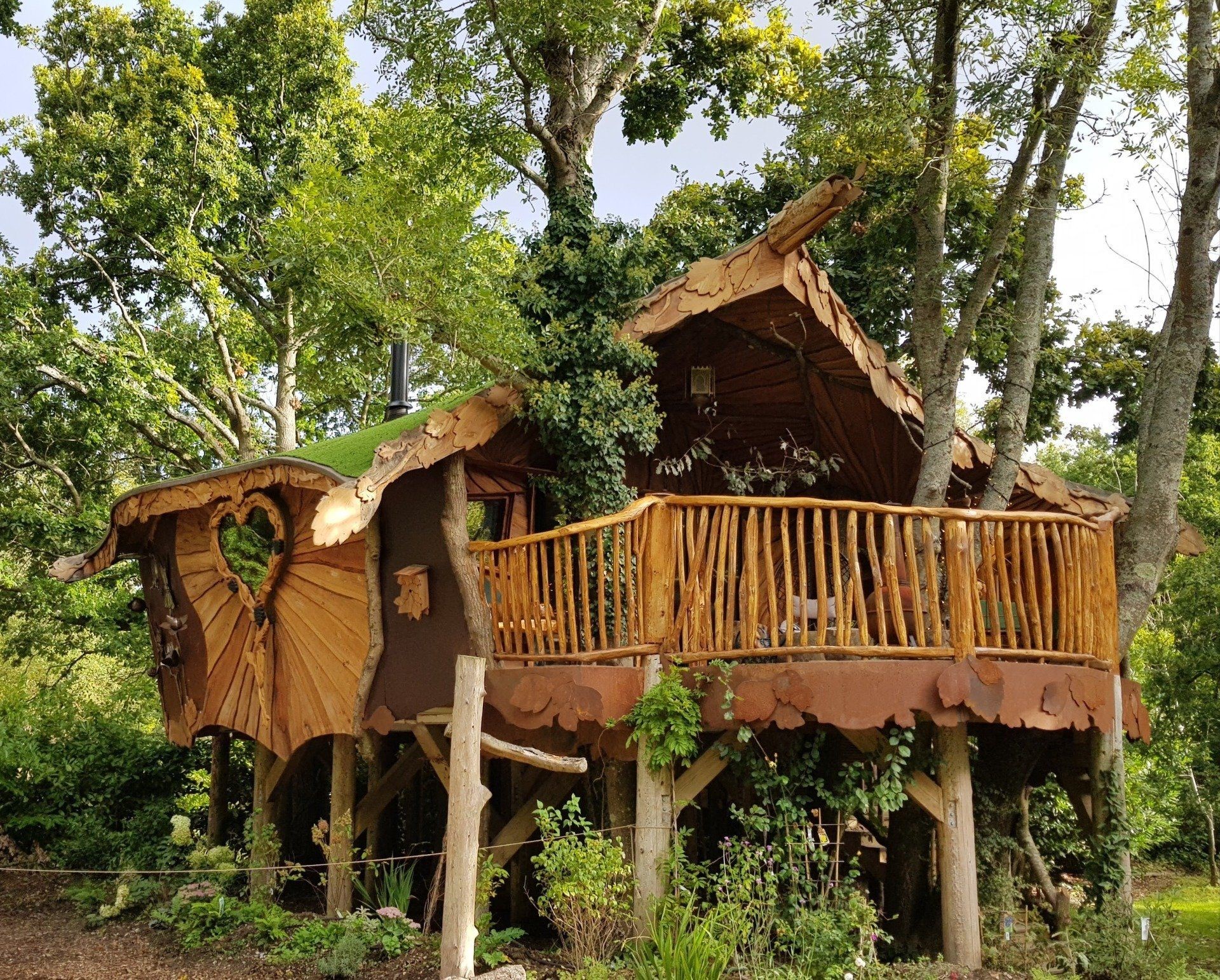 blackberry-wood.jpg blackberry-wood.jpg