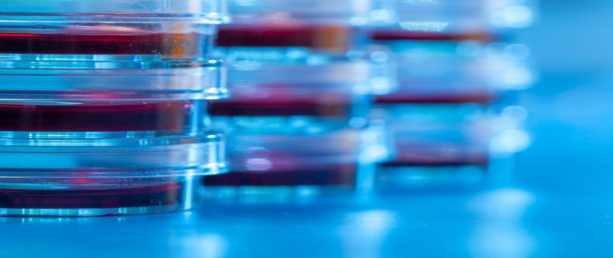 World Diabetes Day - Why Innovation Matters for Type 1 Diabetes